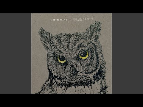 More Heart, Less Attack (Live From the Woods)