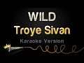 Troye Sivan - WILD (Karaoke Version) 
