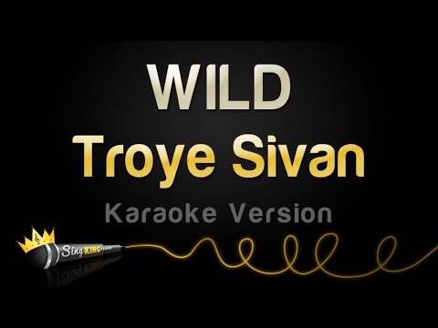 Troye Sivan - WILD (Karaoke Version)
