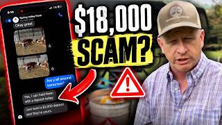 Cattle SCAM! - I Almost Lost $18,000