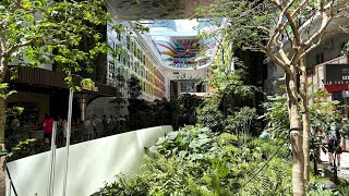 Royal Caribbean Icon of the Seas Central Park