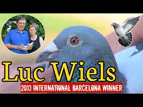 2013 International Barcelona Winner - LUC WIELS