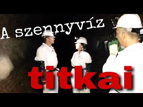 Közös ritanát gél ár