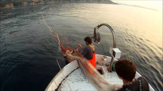 preview picture of video 'Komiški ribari, otok Vis'