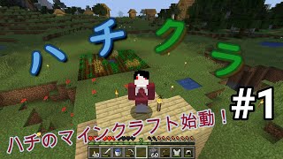 【Minecraft】ゆっくりハチクラやっていきます！１話