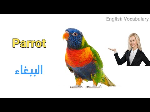 اسماء الطيور بالانجليزي مع الصور
