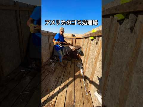 庭で段ボールをどうやって使う？過小評価されない 4 つの賢い使い方  庭園