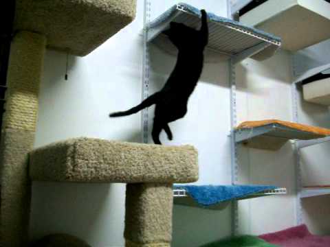 Jamie shows how to climb