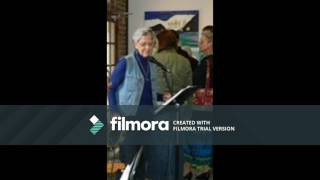 Vintage  Misty Roses