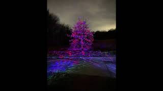 Merry Christmas Alabama   Jimmy Buffet