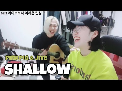 Lady gaga, Bradley cooper shallow 방구석 커버 핑크피그 & 권지예