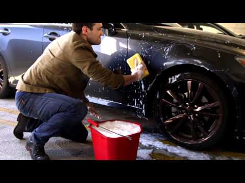 The Guy From Jeff's Gym