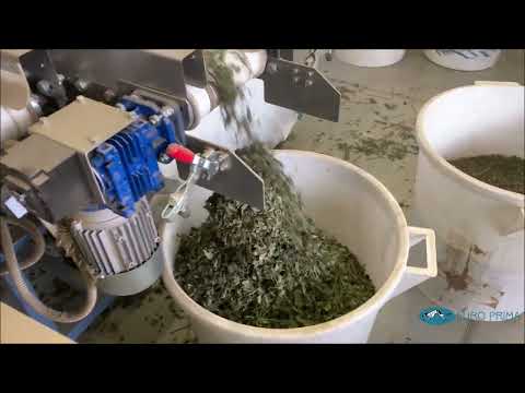 REBLER LGU 304 - mint processing