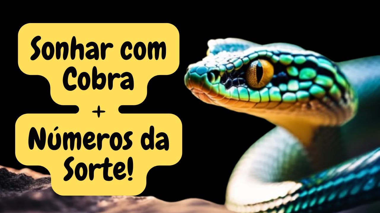 Sonhar com Cobra || Significados Poderosos + Números da Sorte!