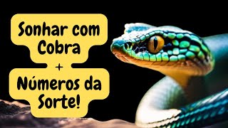 Sonhar com Cobra || Significados Poderosos + Números da Sorte!