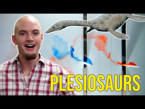How Plesiosaurs Ruled the Ocean using their Flippers