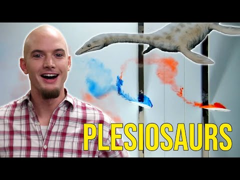 Plesiosaurs ruled the oceans during the time of the dinosaurs with specially adapted flippers that enabled them to swim faster and with greater efficiency than any other animal. Luke Muscutt studied the 4-flipper arrangement by conducting experiments at the University of Southampton to investigate exactly how it all worked...