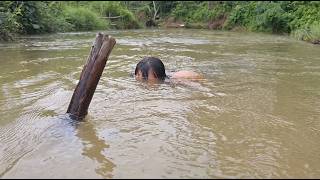 Download lagu Little May Was Swept Away by the River—The Veteran Jumped Into the River Without Hesitation mp3