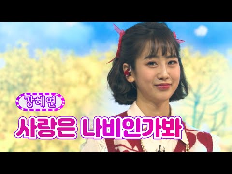 강혜연 - 사랑은 나비인가봐 화요일은 밤이 좋아 19화 220412 방송