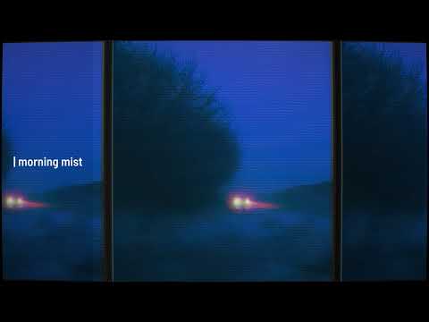 piedkies - morning mist