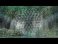 Nalini Blossom The Water Blessing Song Mose Binder Remix