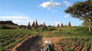 preview picture of video 'PONY CART RIDE AT BAGAN'