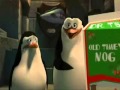 Madagascar Pingus In Georgia Flv