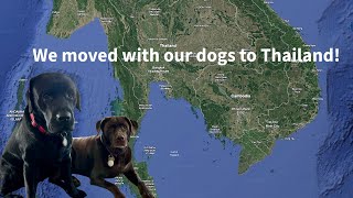 How to Move Your Dog to Thailand