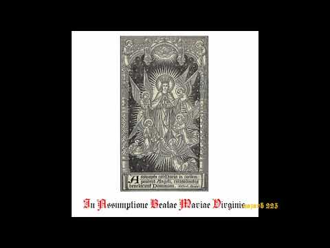 In Assumptione Beatae Mariae Virginis - Maria Himmelfahrt (15. August)