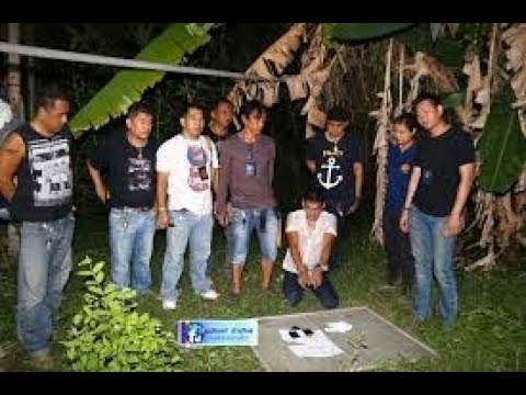 Aphrodisiacs ยาแผนโบราณ บางเพิ่มขึ้นแรงถั่ว