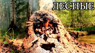 Печь - щепочница из глины