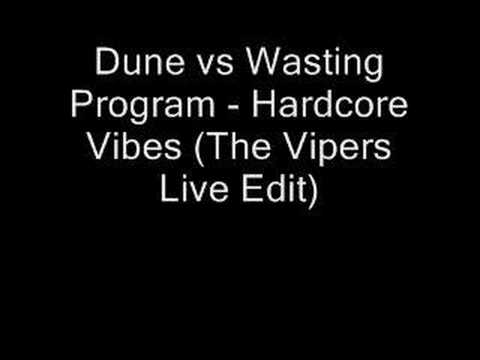 Dune vs Wasting Program - Hardcore Vibes (The Vipers mix)