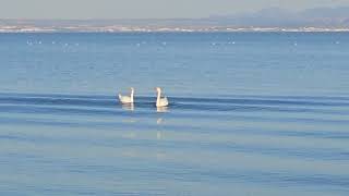 24 Marzo 2026: Martigues, Bouches du Rhône, Côte Sud de la France