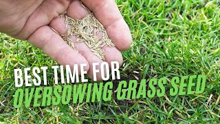 When Is The Best Time For The Over Sowing Of Grass Seed?