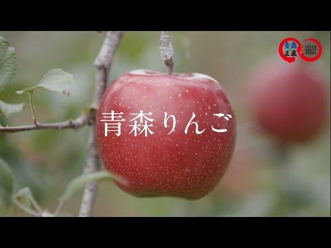 四季が育む 青森りんご