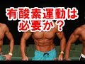 有酸素運動は必要?