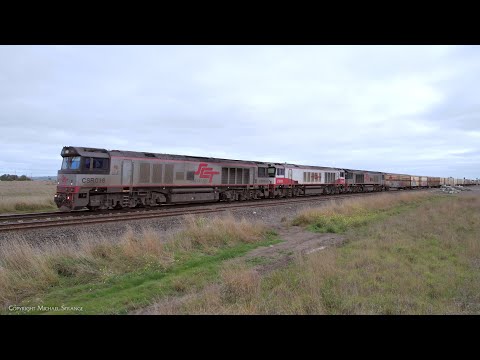 5PM9 SCT Mixed Freight Train With Three Diesel Locomotives (16/7/2023) - PoathTV Australian Railways