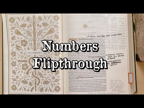 Bible Journaling Flip Through: Numbers (in the ESV Illuminated Journaling Bible)