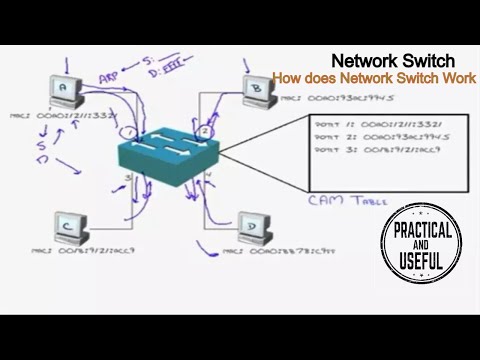 Fundamental Concepts of Network Switch