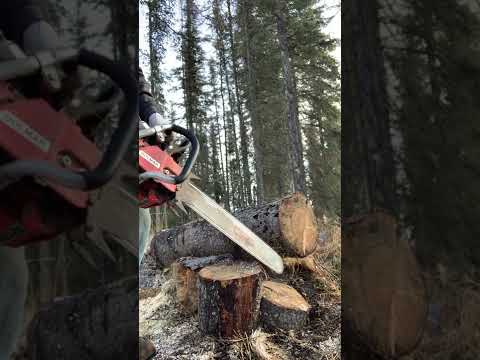 Dolmar 7910 with K&N Airfilter