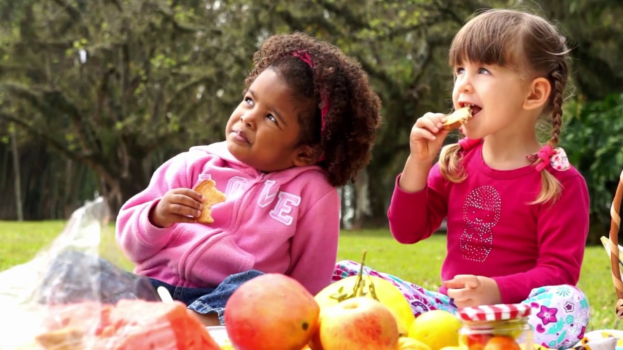 Conheça os 8 remédios Naturais com a Tia Lili