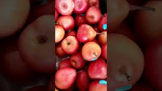 Download lagu New Zealand grown Piqa Boo Pear mp3