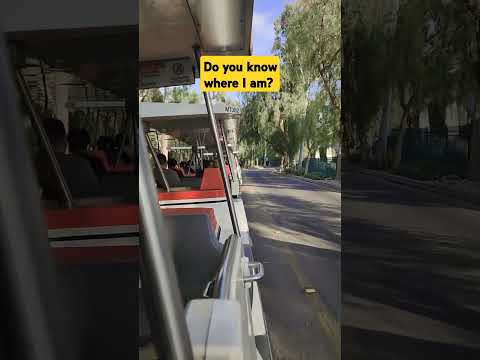 Do you this place?! who's coming along? 🎊😆 #shorts #fyp #youtube #disney #themeparks #viral #travel