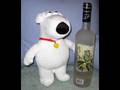 Family Guy You Ve Got A Lot To See