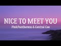 PinkPantheress Nice To Meet You Lyrics Ft Central Cee