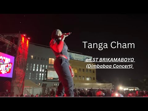 ST BrikamaBoyo intro, Tanga Cham, Dogg Father - Dimbabaa #stbrikamaboyo #tangacham #dogfather #short