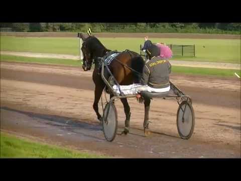 2011 Tot ziens in 2012 prijs - Zenith BD (Mieke v.d. Meer)  {handcam}