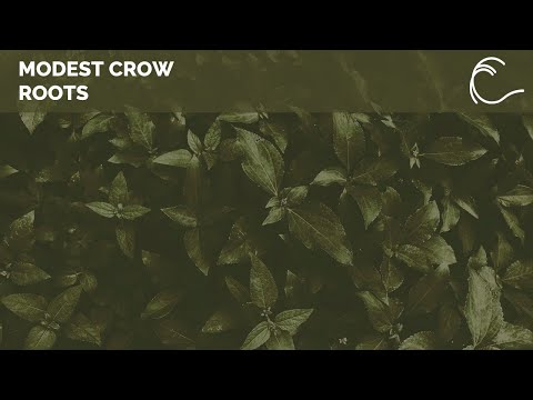 [Melodic Techno] Modest Crow - Roots (Original Mix)