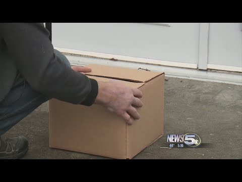 Blam! Man fed up with package thieves uses, sells booby-trapped box that sends crooks running