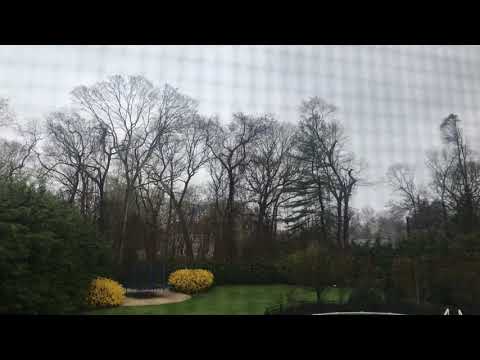 Rain in Smithtown NY - April 15th, 2021 - 2:55PM